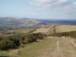 P20103150075	Heading west along Nine Barrow Down.