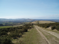 P20103150125	Ascending eastwards up Nine Barrow Down.