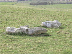 P20101010032	Sarsen stones.