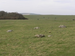 P20101010033	Sarsen stones.