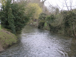 P20101010142	The River Kennet in Marlborough.