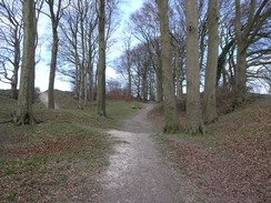 P20104090158	The Old Bath Road on Knoll Down.