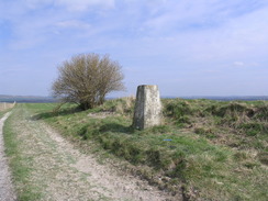 P20104090237	The trig pillar on Etchilhampton Hill.