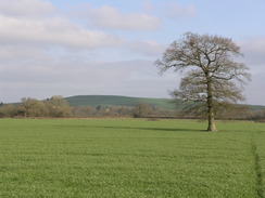 P20104120260	Looking north towards Etchilhampton Hill.