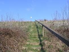 P20104120300	The steps leading up to the railway line.