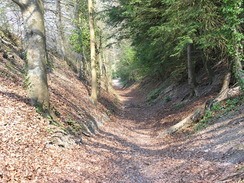 P20104120352	The descent down into West Lavington.