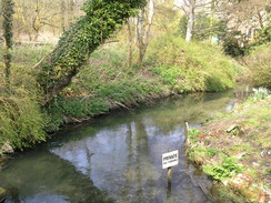P20104120369	A stream near Manor House Woods.
