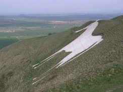 P20104150482	The white horse by Bratton Camp.