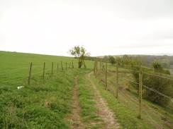 P20104260048	Heading south towards Upton Cow Down.