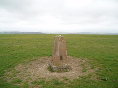 P20104260058	Upton Cow Down trig pillar.