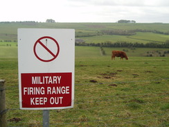 P20104260061	A cow ignoring a sign.