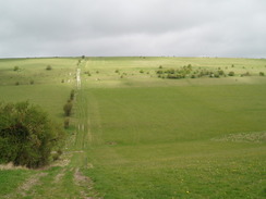 P20104260066	Looking back up the descent from Upton Cow Down.