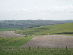 P20104260090	Strip Lynchets on Middle Hill.