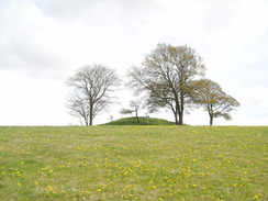 P20104260094	The tumulus on Middle Hill.