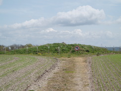 P20104260114	The tumulus on Cotley Hill.