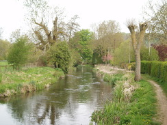 P20104280010	The River Wylye.