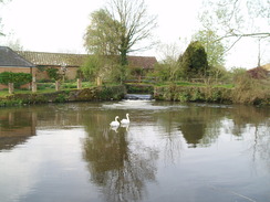 P20104280014	The River Wylye.