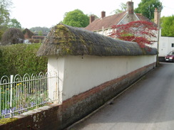 P20104280021	A thatched wall in Cotley.