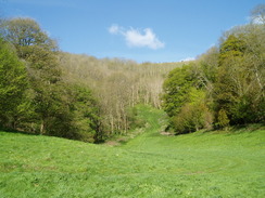 P20105040026	A valley of Ashcombe Bottom.