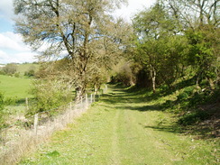 P20105040034	The path leading to Tollard Royal.