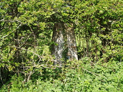 P20105040098	The trig pillar on Sutton Hill.