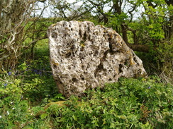 P20105110086	A rock beside the path.