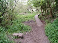 P20105110122	The path heading northwestwards from Maiden Newton.