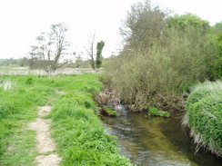 P20105110128	The River Frome in Maiden Newton.   