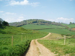 P20105120021	Heading west towards Stoke Knapp.