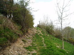 P20105120033	The climb onto Pilsdon Hill.