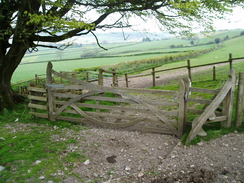 P20105120036	An ornately-carved gate on Pilsdon Hill.