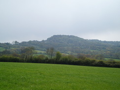 P20105120052	A distant view of Lewesdon Hill.