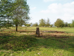 P20105130069	Lambert's Castle trig pillar.