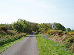 P20105130076	The road across Coney's Castle.