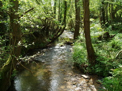 P20105130107	Following the stream southeastwards to Lyme Regis.