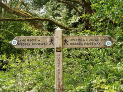 P20105130109	A signpost near the end of the trail in Lyme Regis.