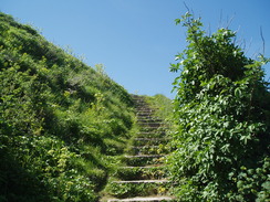 P20105220027	Steps leading up onto the cliffs from Chiswell.