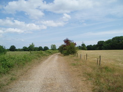 P20106300092	The track heading east from Veal's Farm.