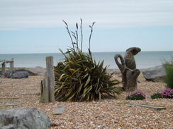 P20107070117	A shingle garden in Worthing.