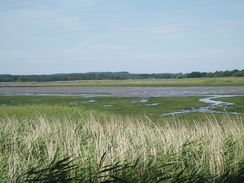 P20107190055	Lytchett Bay at Turlin Moor.