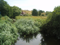 P20107190142	The River Piddle, Wareham.