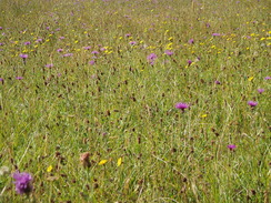 P20107210045	Heading east towards Sharford Bridge.