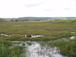 P20107210075	Heading east from Greenlands Farm to Ferry Road.