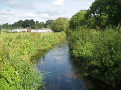 P20108030008	A tributary of the River Avon in Ringwood.