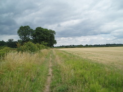 P20108030032	Heading south towards Sopley.