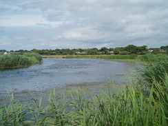 P20108030095	The River Avon on Winkton Common.