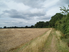 P20108030112	The path heading north from Sopley.