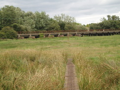 P20108030144	The railway bridge over the Avon at Bickerley Common.