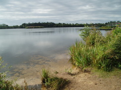 P20108050019	Blashford Lake.