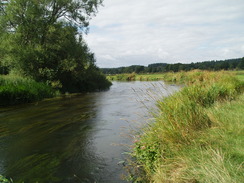 P20108050054	Following the River Avon west from Ibsley Bridge.